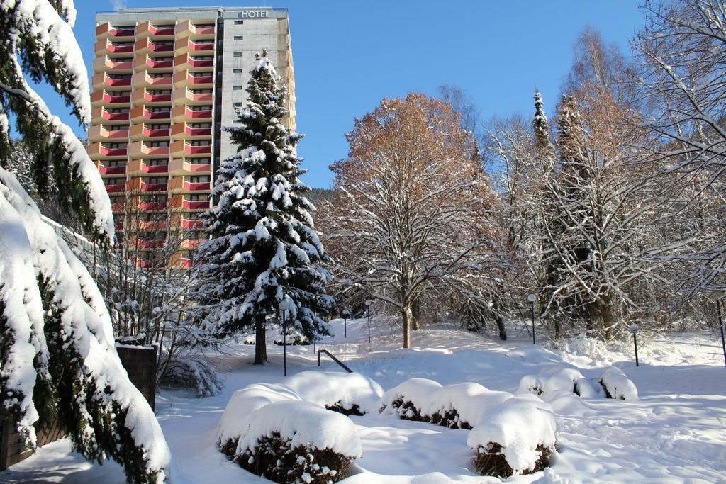 Familien Apartmenthotel Panoramic Bad Lauterberg Bagian luar foto
